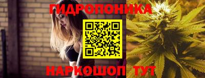 стаф Лесосибирск