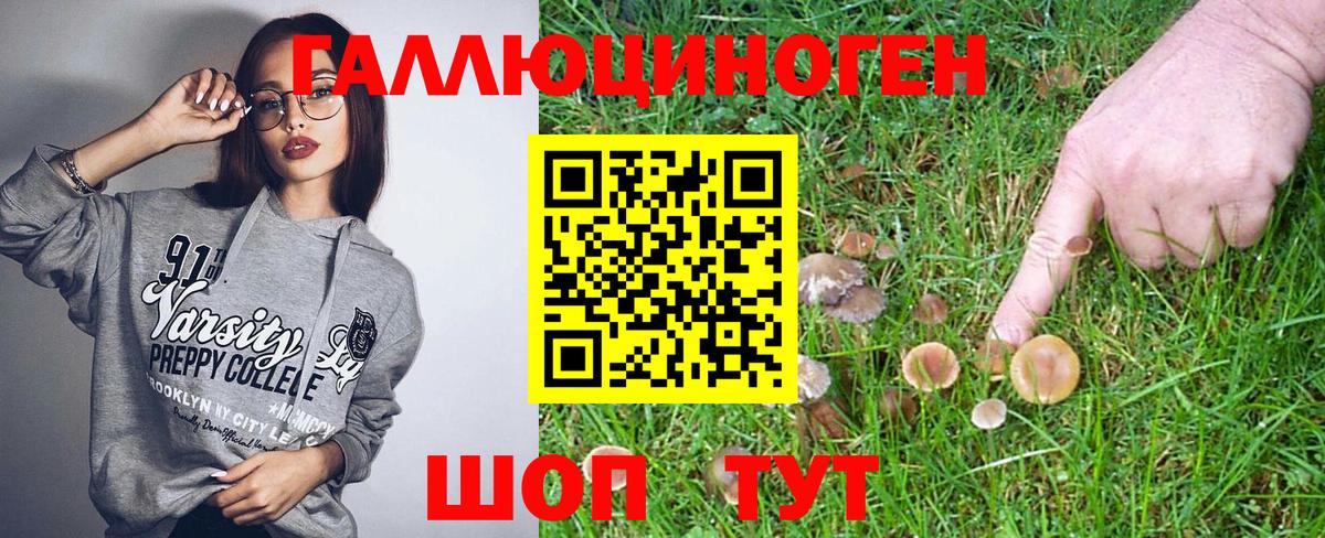 Еманжелинск  Галлюциногенные грибы Psilocybine cubensis  Вход с VPN  Галлюциногенные грибы Magic Shrooms 